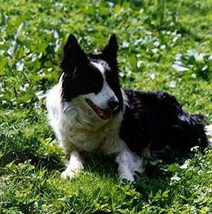 LADY FLY mem_fly2.jpg